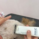 멍미살롱 이미지