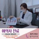 엘여성의원 이미지