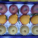 유림청과 이미지