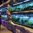 카페 디(CAFE D) 이미지