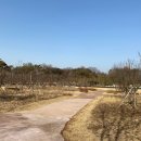 나성동_독락정역사공원 이미지