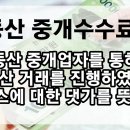 대박공인중개사부동산중개 이미지