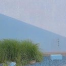 주식회사대정건설 - 17636 | [천안 두정동 카페] 주식회사 구공 베이커리 맛집 서올 건설!