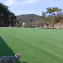 udogpia 유독피아 | 미니 텃밭부터 애견 해먹까지, 센스 만점 독채형 애견 펜션 홍천애견펜션 유독피아 2번방 후기