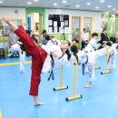 경희대신나무태권도장
