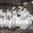 백봉호텔 이미지