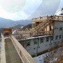 호반민박 Daum카페
