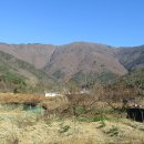 신기마을 앞 이미지