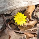 순천 서면 운평리 고분군 이미지