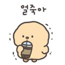 클로렐라베이커리카페