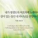 대교엔지니어링주