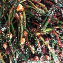 3월24일.김치(알배추겉절이,열무얼갈이,알타리무,쪽파,홍돌산갓,나박물김치),장류(전복,꽃게,칠게,돌게),홍어무침,생굴무침 이미지