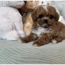 대구제일메디칼 이미지