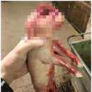 주만농장 이미지