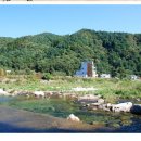 가평연리지 이미지