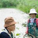 청자골토하 뉴시스