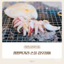 자연나라 | 자연나라푸드림 손질갑오징어 캠핑장음식 먹거리로 추천