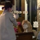 승진민박 이미지