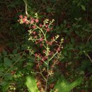 산성목장 이미지