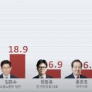 선거는 담벼락 어슬렁거리는 &#39;회색 고양이 잡기&#39;…호남논객의 감동적인 체험썰 이미지