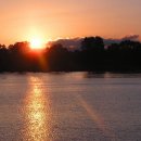 요케이크 이미지