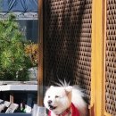 서남산한옥관 이미지