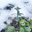 함평자연생태공원 이미지