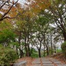 문화산책코스 이미지