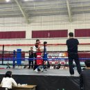 만세 복싱클럽 이미지