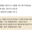 기인물과 가해물 이미지