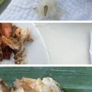 [발리 짐바란] 씨푸드 맛집 판단사리 머리카락 나온 후기(사진有)