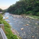 GS25 울산등억온천점 이미지