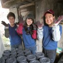 사우타이어 이미지