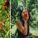 온주농장 이미지