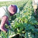 영근농장 이미지