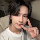 리리랜드 이미지