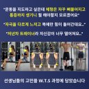 W.T.S 웨이트 트레이닝 전문가 과정 이미지