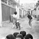 무궁화당구장 이미지