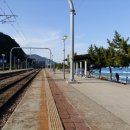 정동진민박 이미지