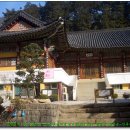 동학사1·2로 이미지