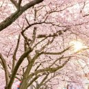 세븐일레븐 제주전농로점 이미지