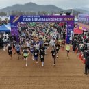 박정희로-10 | 26년 구미 박정희마라톤 10k 솔직후기(디테일하게)