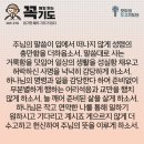 콩깍지 이미지