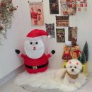 브리앙뜨몽 이미지