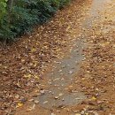 강북연세정형외과의원 이미지