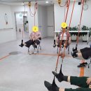 사랑가득케어 이미지