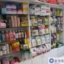 아담동물병원 이미지