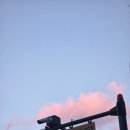 고롱고롱 이미지