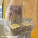 위드퍼피 애견미용실 | 매탄동애견미용 잘하는 [위드퍼피]에서 막냉이 목욕+위생미용 석세스!!!!🐶