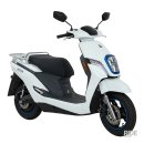 글로벌렌트카㈜ 이미지